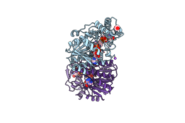 2UDP image