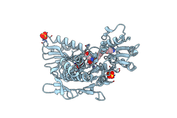 2UUP image