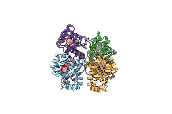 2UV0 image