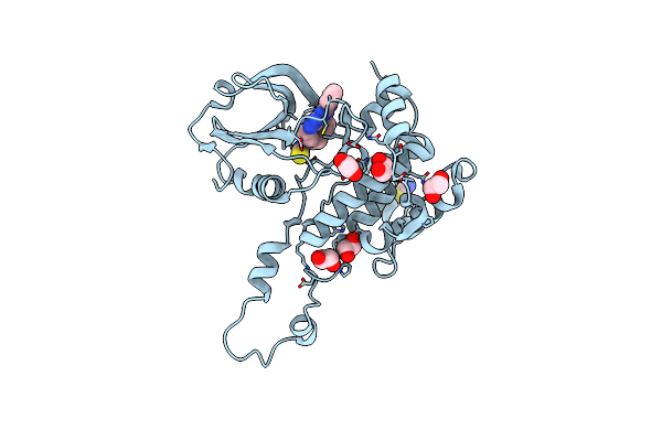 2UV2 image