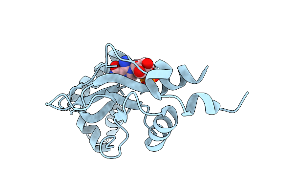 2UV5 image