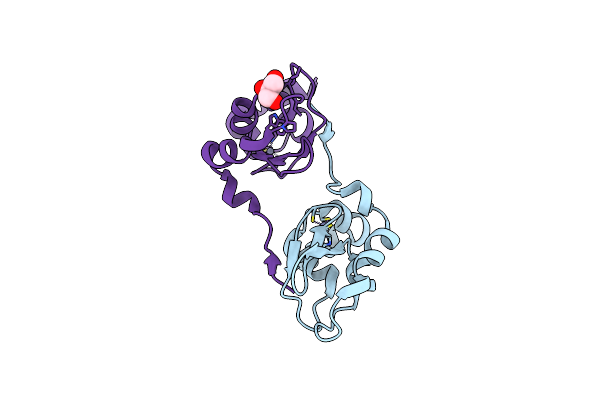 2UVL image