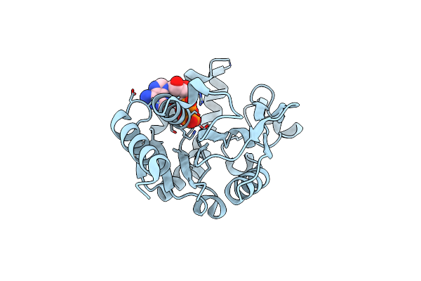 2UVQ image