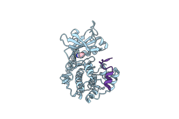 2UVX image