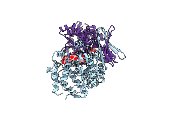 2UXR image