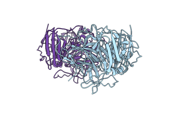 2UXV image