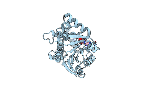 2UYQ image