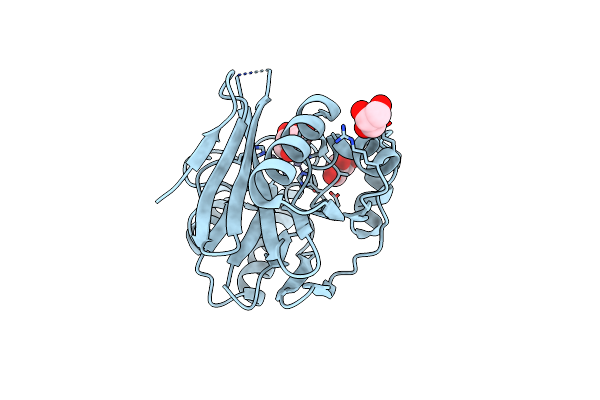 2UYX image