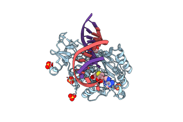 2UZ4 image