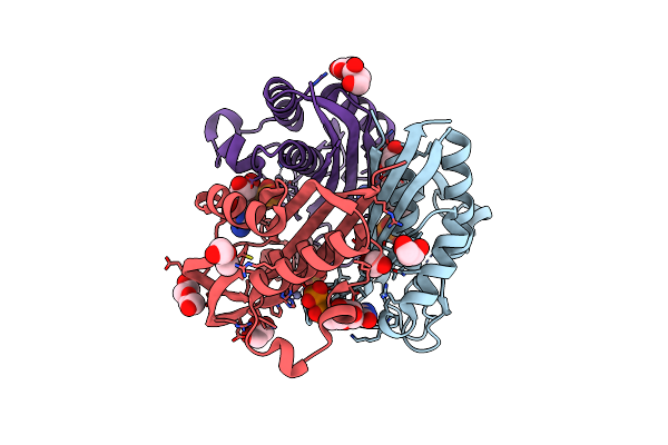 2UZH image