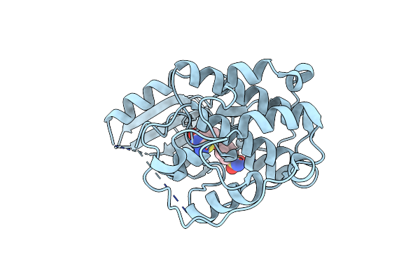 2UZN image