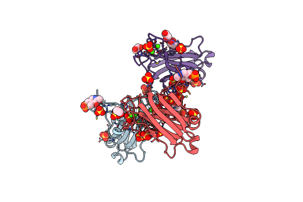 2UZP image