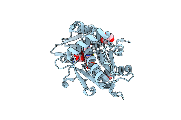 2V03 image