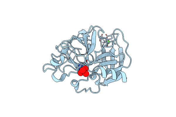 2V0B image