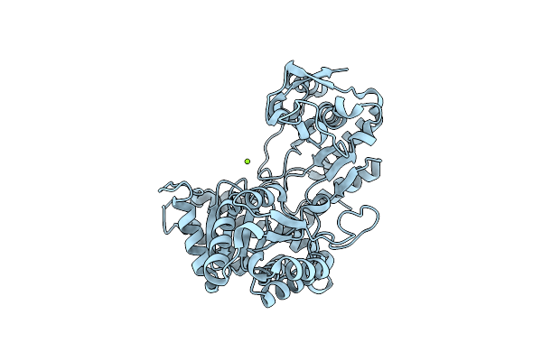 2V0Y image