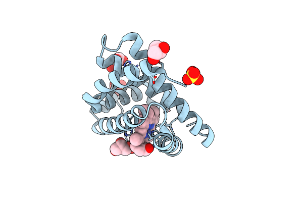 2V1E image