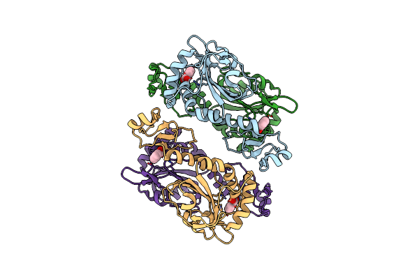 2V32 image