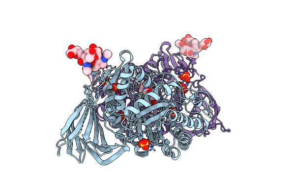 2V3D image