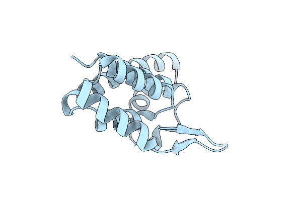 2V4X image