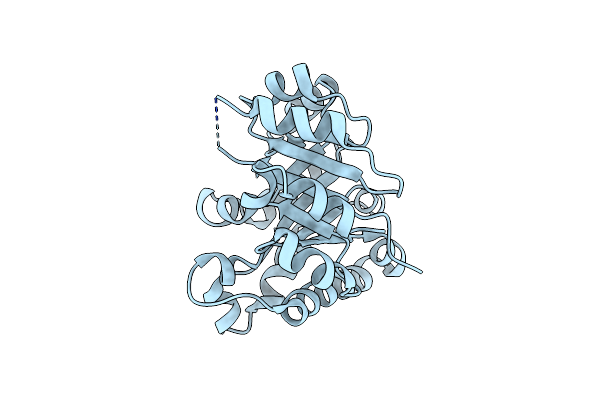 2V5B image
