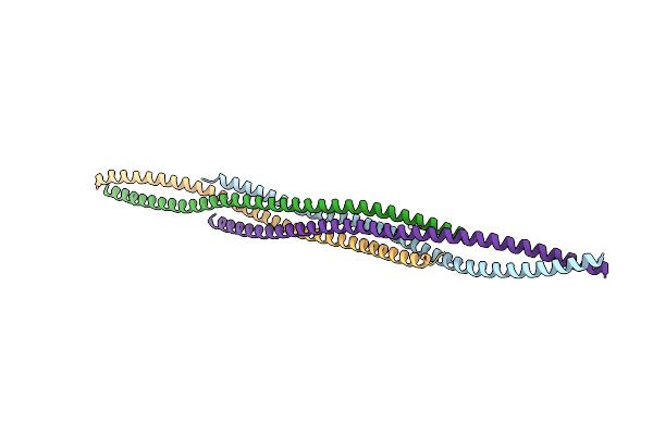 2V66 image