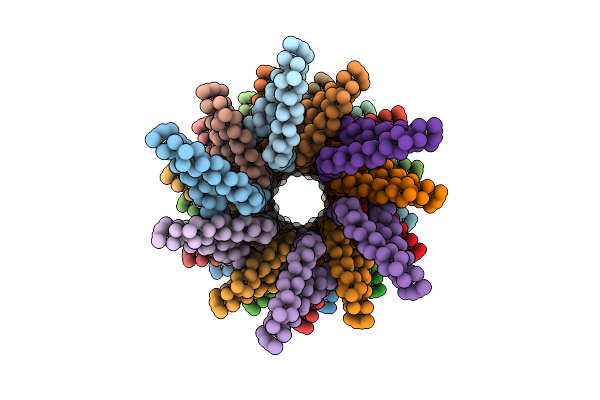 2V6L image