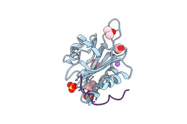 2V8C image
