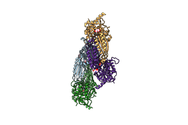 2V8G image