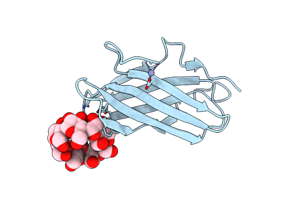2V8L image