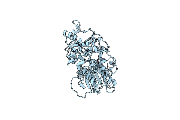 2V8O image