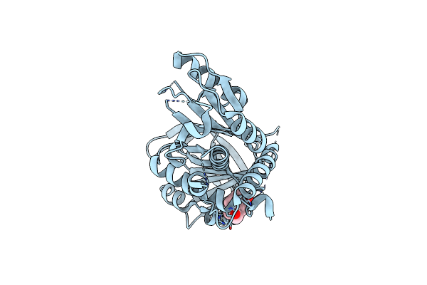 2V95 image