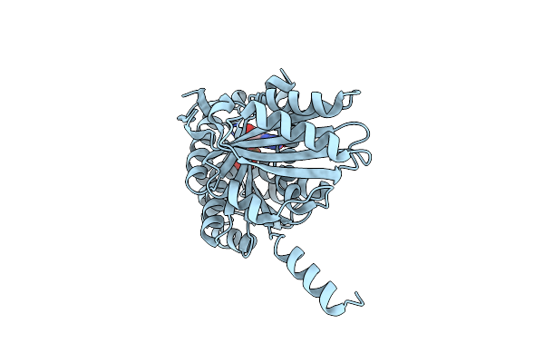 2VAP image