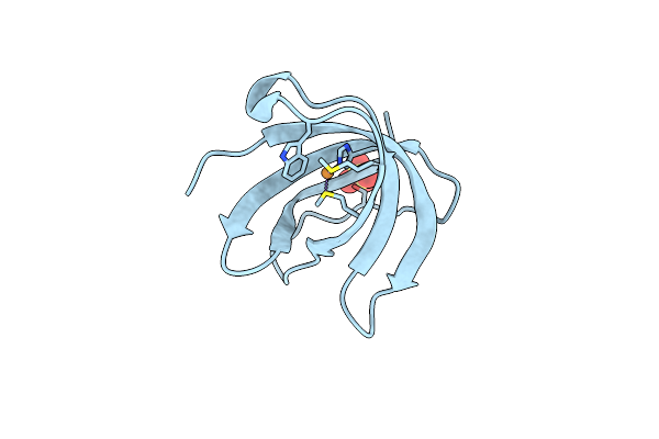 2VB2 image