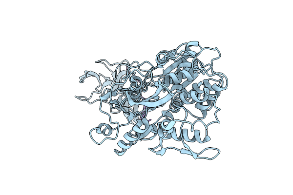 2VBC image