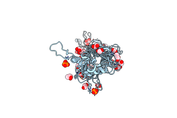 2VBK image