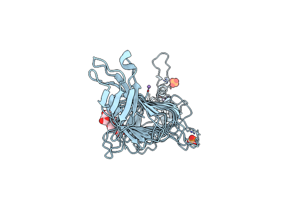 2VBM image