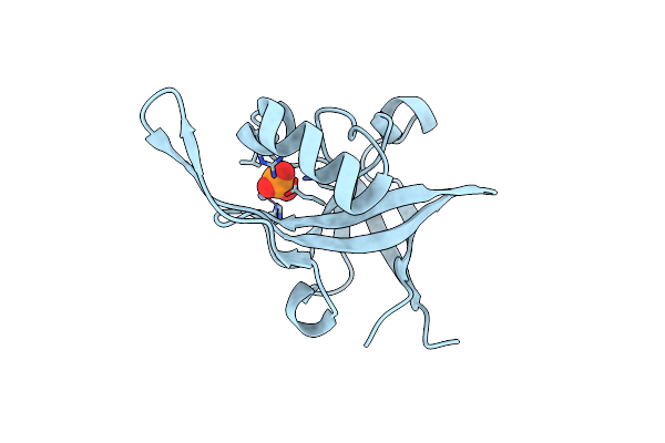 2VBS image