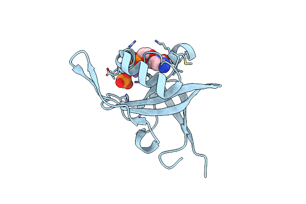 2VBT image
