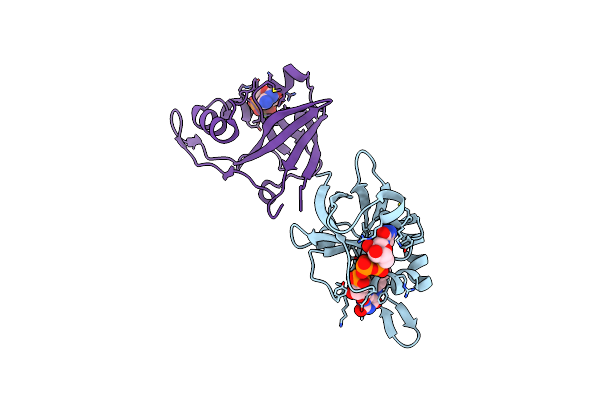 2VBV image