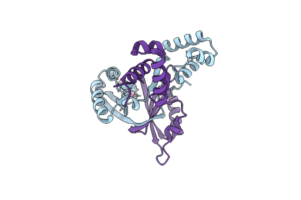 2VBW image