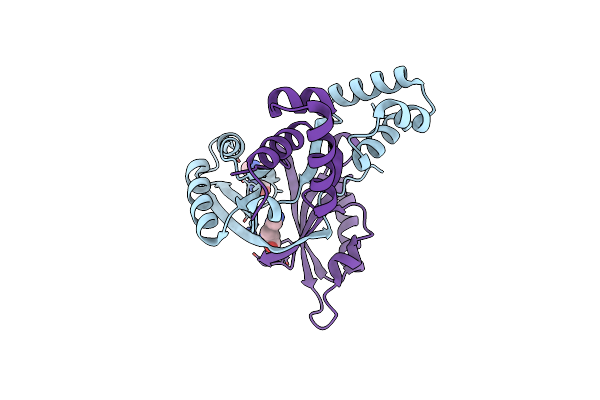 2VBX image