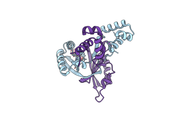 2VBZ image