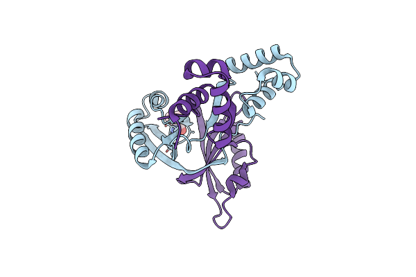 2VC0 image