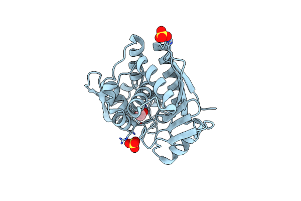 2VC3 image
