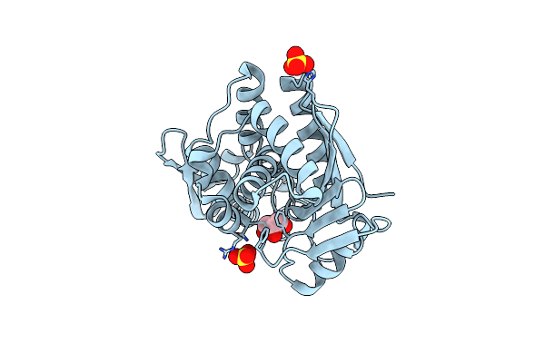 2VC4 image