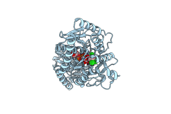 2VCE image