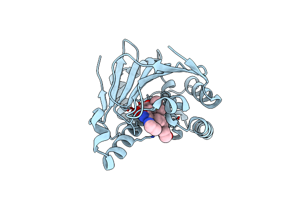 2VCI image