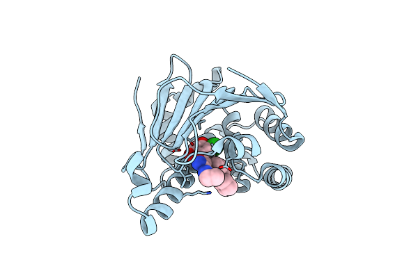 2VCJ image