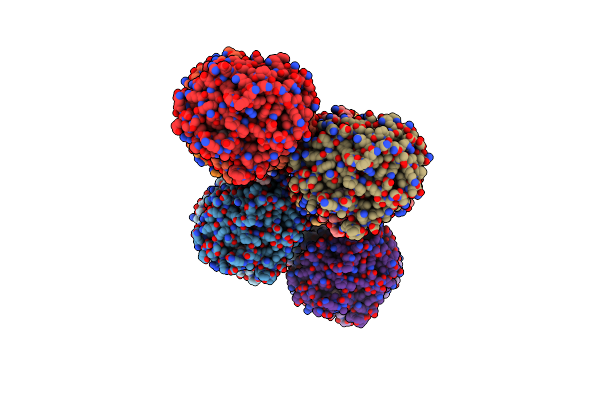 2VCV image