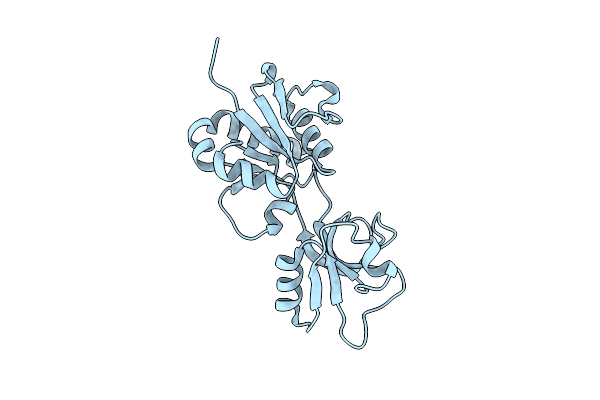 2VD2 image